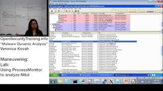 Dynamic Malware Analysis D2P13 Maneuvering Lab Nitol