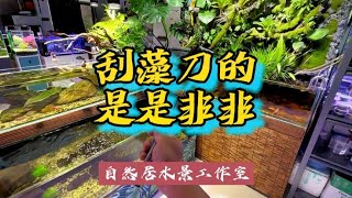 刮藻刀的是是非非#玻璃缸中的大自然 #鱼缸造景 #水族 #水族用品~家庭和办公室的大自然【自然居水景记】