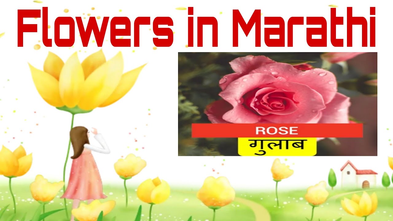 Flowers Name In Marathi With Pictures - Home Alqu