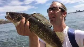 Fishin'Clip - Fishing Season On