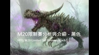 (感冒簡易版)魔法風雲會 M20限制賽分析與介紹 - 黑色 MTG M20 Limited Set Review : Black