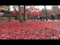 東福寺通天橋　京都紅葉2014autumn colored leaves in tofuku ji temple kyoto