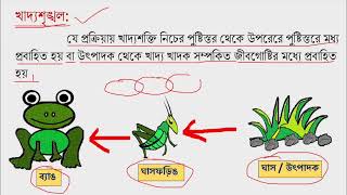 খাদ্যশৃঙ্খল /food chain কাকে বলে,  উদাহরণ, বৈশিষ্ট্য/PRIMARY TET 2022 🤩🌱🦗🐸🐍