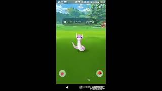 【ポケモンGO】色違いミニリュウからの色違いカイリュー！ 【Pokemon go】