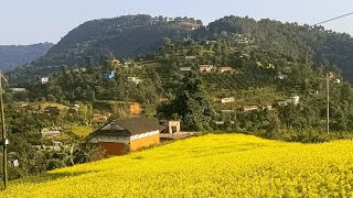 Gulmi view - Looks like Heaven l Gaudakot , Jubhung , Jhirbas , Resunga , Charpala , Birbas ,