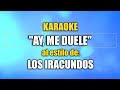 VLG Karaoke  (LOS IRACUNDOS - AY, ME DUELE) Mejor versión