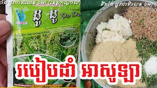 របៀបដាំ និងការថែទាំ អាសូឡា អោយលូតលាស់បានល្អ - កសិកម្ម របៀបដាំដំនាំ