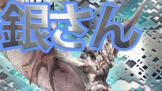 【MHX】新米ハンターの挑戦【実況】part39