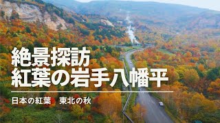 【絶景探訪】紅葉の岩手八幡平Autumn leaves in Japan