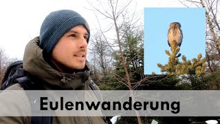 Natur Entdecken - Eulenwanderung