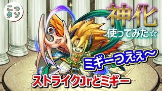 【モンスト】ストライクJr と ミギー やっぱりミギーつえぇ～!! 神化したストライクJr.を使ってみた✩【こっさり＆シュンタソ】