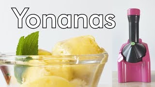 Frozen Fruit Ice Cream with the Yonanas Frozen Treat Maker