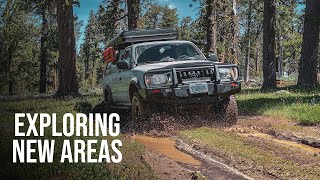 Overland Adventure - Exploring New Areas - South Eastern Oregon