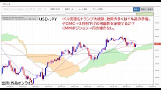 トランプ政権→ドル高？ドル安？気迷いムード継続。FOMC、米PCEデフレーター、トランプ関税に注目！