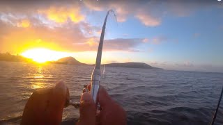 Can a TOY ROD catch an Oio?!  | Oio Fishing | Fishing in Hawaii |