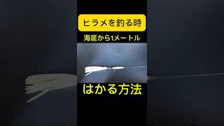 ヒラメ釣りのコツ海底から1メートルをはかる方法