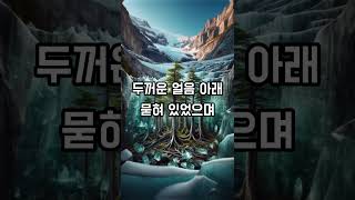 알래스카의 빙하 속에서 발견된 고대 숲! #mystery #history #motivation #facts #놀라운 #흥미로운 #역사 #미스터리 #지식 #이슈