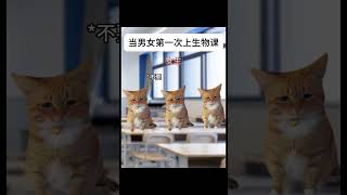 当男女第一次上生物课 #猫meme #喵不可言 #猫meme小剧场 #cat #喵 #生物课#shorts