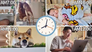 柴犬達と生後1ヶ月赤ちゃんと男のVlogモーニングルーティン