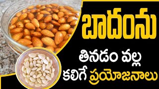 Badam Health Benefits | Almonds Health Benefits in Telugu || Eagle Media Works