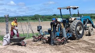 LEVOU 15 HORAS DE TRATOR PARA ARAR E PLANTAR MILHO SO VOU PLANTAR 1 ROÇADO, O RESTO É PALMA