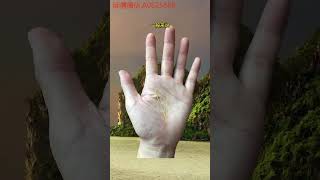 赶紧测试一下你的手型吧#手纹 #掌纹 #掌纹解析