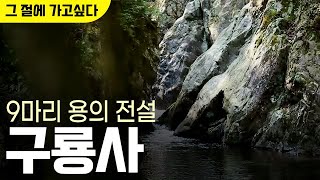 아홉 마리 용의 전설🐲 #구룡사 [그절에가고싶다🚘] #의상스님 #가을치악산명소