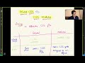 Global CSS vs CSS Modules in React 🎨 | React Styling Explained for Beginners