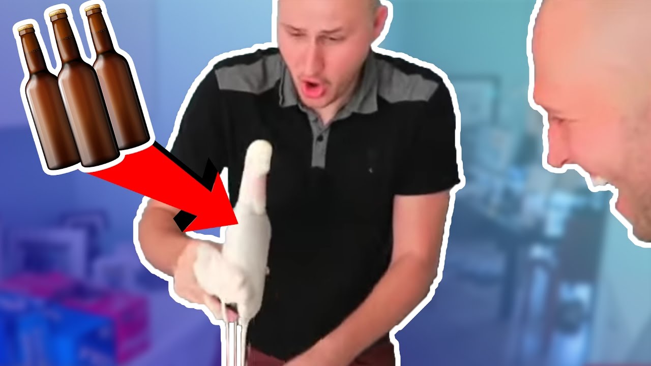10 Funny Beer Pranks How To Prank Youtube