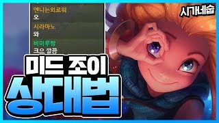 한편으로 마스터하는 탈론 vs 조이 상대법 강의 [시간의숲]