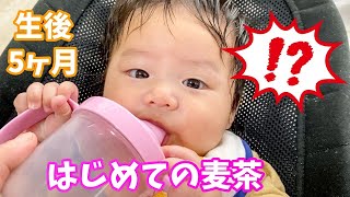 【はじめての麦茶】生後5ヶ月　コップの練習をしたよ！　４歳　２歳　0歳　２歳差　育児　3人きょうだい　成長記録　Vlog