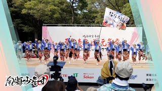 【4K】東京よさこいなな丸隊『一気』｜原宿表参道元氣祭 スーパーよさこい2023 神宮会館前ステージ