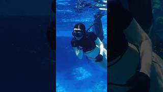 🍥dive under the pier #shorts #underwater #freediver #swimminggirl  #scubagirl #sea #freedivinggirl