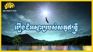 រឿងរ៉ាវដ៏អស្ចារ្យរបស់សត្វឥន្ទ្រី