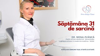 Săptămâna 31 de sarcină I Dr. Mona Zvâncă I Femmeboutiquemedical.com