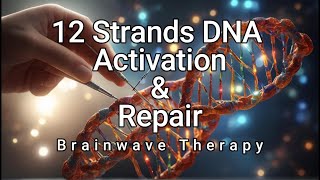 12 Strand DNA Activation and Repair