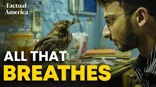 All That Breathes Interview | HBO Documentary  | Podcast with director Shaunak Sen