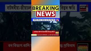 Dhemaji ৰ বিভিন্ন প্ৰান্তত বতাহ-ধুমুহা তাণ্ডৱ | Assamese News #shorts n18s 21/05/24