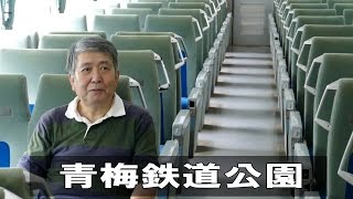 「三丁目の夕日」撮影で使われた新幹線0系のある公園　青梅鉄道公園に行って来たよ