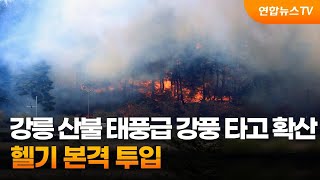 강릉 산불 태풍급 강풍 타고 확산…헬기 본격 투입 / 연합뉴스TV (YonhapnewsTV)