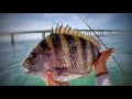 Early Spring Fishing at the CBBT (This Day Changed Everything!)