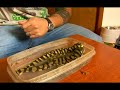 how to breed tiger salamanders