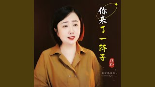 你来了一阵子