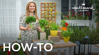 How to Grow Parsley - Home \u0026 Family