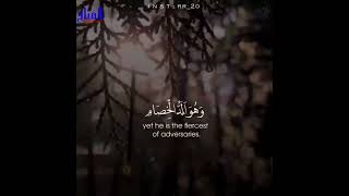 #shorts quran recitation really beautiful