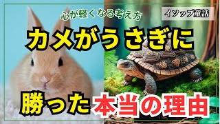 【新解釈童話】イソップ物語「うさぎとカメ」からの学び