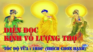 Phật Thuyết Đại Thừa Vô Lượng Thọ Trang Nghiêm Thanh Tịnh Bình Đẳng Giác Kinh_đọc tốc độ vừa