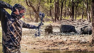 CRAZY Solo Bowhunting Madness | Aussie Swamplands Hunt