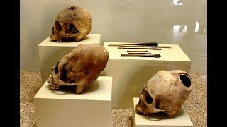 Elongated Skulls Of Paracas Peru: Exploring The New Museum