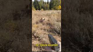 Mountain Lion attack to a man ! #shorts #wildlife